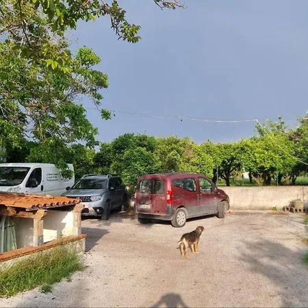 Le Colonne Di Cesare