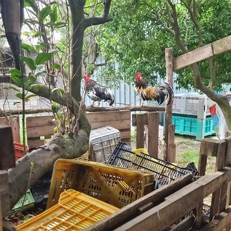 Nocleg ze śniadaniem Le Colonne Di Cesare