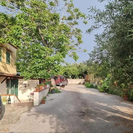 Le Colonne Di Cesare Boscoreale
